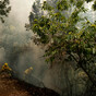 Cooler weather overnight helps effort to battle Tenerife wildfire
