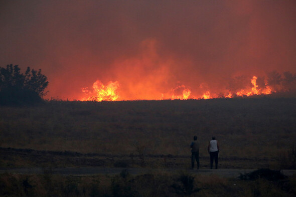 Death toll from this week's Greek wildfires hits 20 as firefighters battle to contain new blazes - Vimarsana News