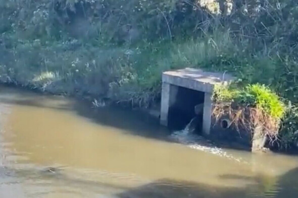'Frustrating' incident sees raw sewage discharged into Fingal's protected Baldoyle Bay - Vimarsana News