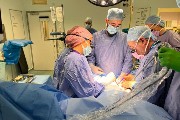 Woman receives UK's first womb transplant after her sister acts as living donor - Vimarsana News