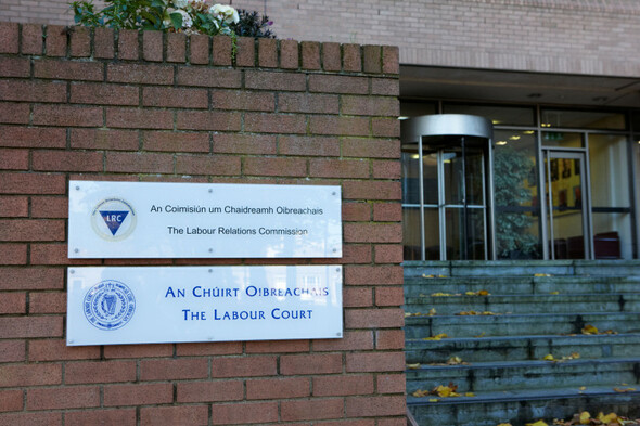 Convicted dog pound operator succeeds in having €18,000 payout to 'whistleblower' warden overturned - Vimarsana News