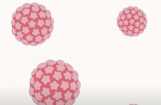 Your HPV cervical screening results