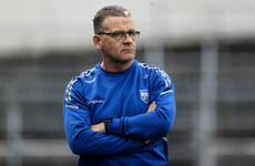 Waterford on hunt for new boss after Ephie Fitzgerald exit