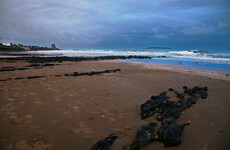 No litter 'blackspots' recorded by survey but majority of beaches still deemed not clean
