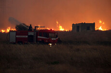 Greece blaze is 'largest wildfire ever recorded in EU'