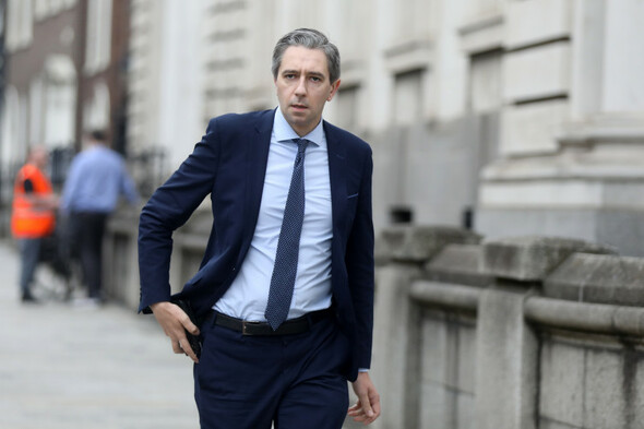 'When does the increase stop?': Simon Harris says TD numbers shouldn't increase 'ad nauseam' - Vimarsana News