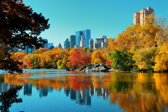 Quiz: Which autumnal city is this? - Vimarsana News