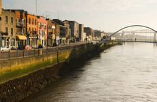 Drogheda councillors vote to remove freedom of the town from former Christian Brothers leader