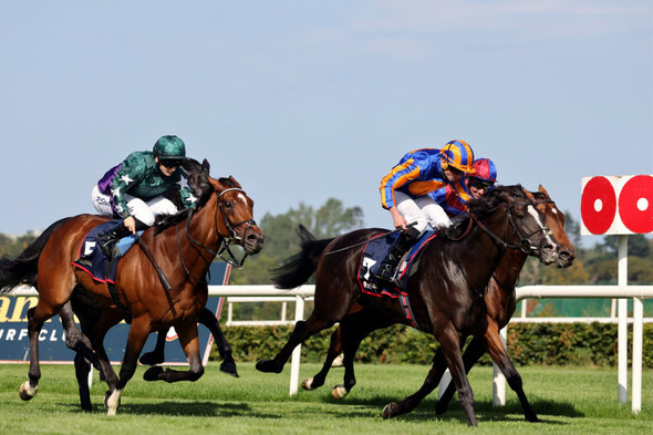 Derby star Auguste Rodin bounces back in spectacular fashion to win Irish Champion Stakes - Vimarsana News