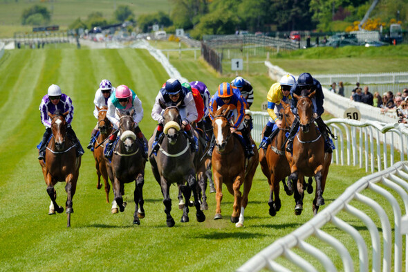Govt won't exempt horse-racing TV channels from ban on daytime gambling ads - Vimarsana News