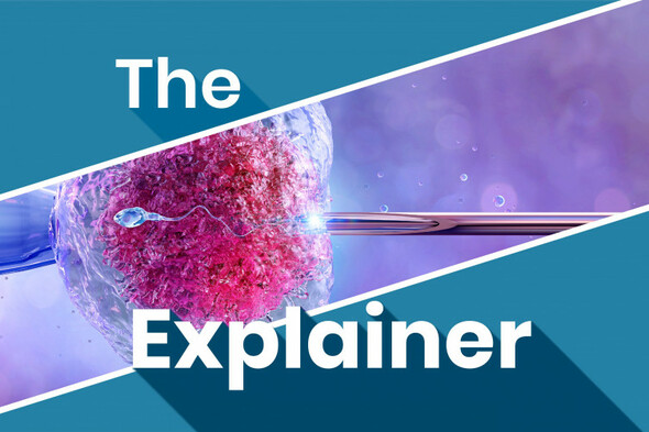 The Explainer: How will Ireland's new publicly funded IVF scheme work? - Vimarsana News