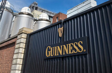 Diageo says delayed plans €200m brewery in Kildare are 'time-sensitive'