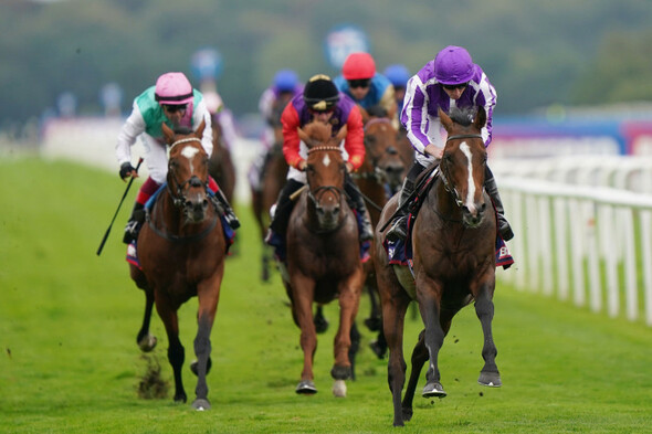 Continuous impresses to give O'Brien seventh Leger win · The 42 - Vimarsana News
