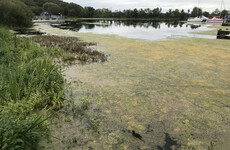 Lough Neagh sand being used at GAA grounds across the country