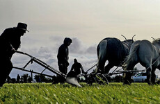 EU Commissioner does not want to ‘decimate’ farming, Irish MEPs say