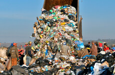 Two thirds of general waste could've been recycled or composted, EPA finds