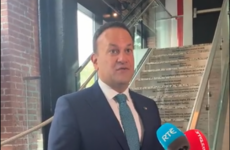 Taoiseach hopes Garda Commissioner's review of politicians' security 'won't go too far'