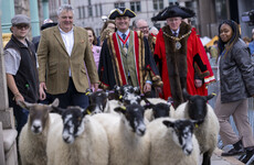 Chef Richard Corrigan takes up his ancient right to herd sheep over a London bridge