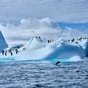 Antarctic sea ice hits new low setting an 'extreme' record