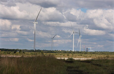 Wind power temporarily outpaced electricity demand yesterday for the first time in Ireland