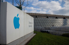 Ireland's Apple escrow fund lost €259 million in value last year