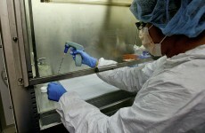 Government urged to bring in stem cell legislation