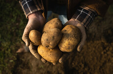 Poll: What's your favourite way to eat potatoes?