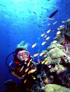 Great Barrier Reef has lost half of its coral since 1985 - study