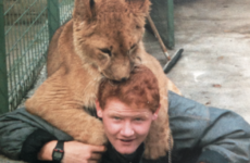 Gerry Creighton: You can learn sentience and emotional expression from animals