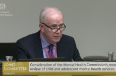 Lack of regulation in mental health sector 'wouldn't happen in any other walk of life'