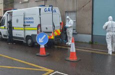 Tina Satchwell: Man arrested as remains found and gardaí search second site in Cork