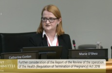 Some doctors 'actively obstruct' women from getting abortions, committee hears