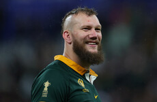 Munster man Snyman continues to show his class for Springboks