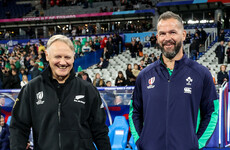 After World Cup pain with Ireland, Schmidt on the brink with All Blacks