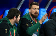 Overlooked by Ireland, Munster's Kleyn could become World Cup winner