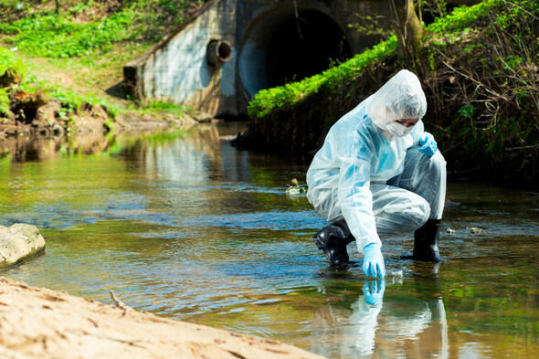 Dr Catherine Conlon: Sewage in our waterways has huge health and environmental consequences - Vimarsana News