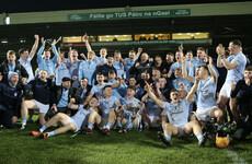 Na Piarsaigh hold off Patrickswell to defend Limerick SHC title