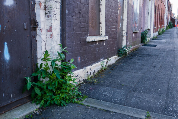 Threshold calls for NCT-style inspections of rental properties over concerns about poor standards - Vimarsana News