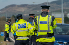 Gardaí recorded over 22,000 incidents of assault last year, report finds