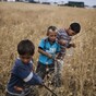 Emergency NATO meeting called after Syrian shell kills five people in Turkey