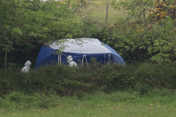 Dublin man who 'lured' friend to country lane and murdered him is sentenced to life in prison - Vimarsana News