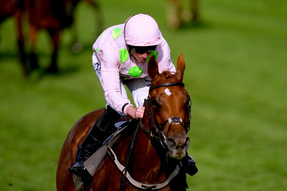 'It probably will be my strongest chance ever': Willie Mullins eyeing glory in €4.8m Melbourne Cup - Vimarsana News