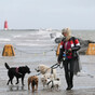 Fines for serious dog offences to double following 'worrying' dog attacks