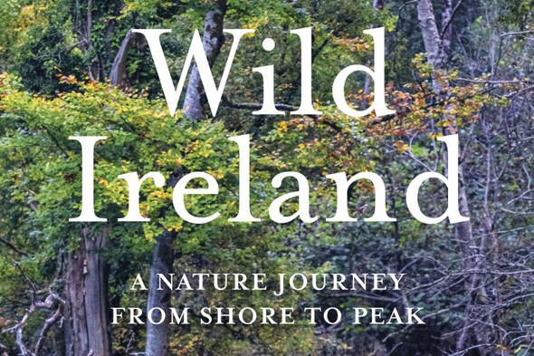 Wild Ireland: We're at a point in history where we must improve our relationship with nature - Vimarsana News
