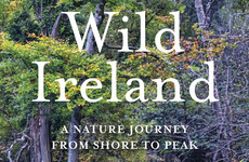 Wild Ireland: We're at a point in history where we must improve our relationship with nature