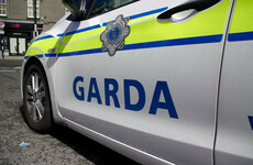 Gardaí seek witnesses to an alleged assault and dangerous driving incidents in Dublin yesterday