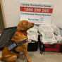 €660,000 worth of cannabis seized from passenger at Dublin Airport