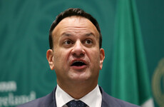 Varadkar says Ireland would lose influence by going 'too far' in response to Israel motion