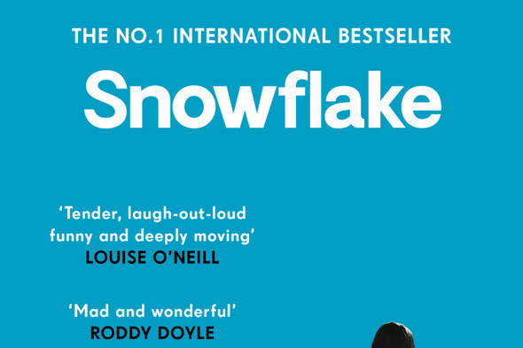 Debut novel from Kildare writer Louise Nealon named as this year's 'One Dublin One Book' choice - Vimarsana News