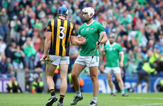 Champions Limerick win seven All-Star hurling awards with five for Kilkenny